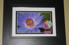 IMG_1152.jpg