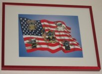 DS Stitch Military Framed.jpg