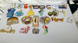 pins jan 2012.jpg