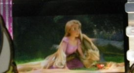 image-4064649571.jpg