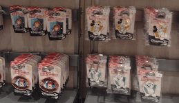 IMG_20250606_165902256~2.jpg