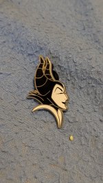 PXL_20251116_210448824.jpg PXL_20251116_210448824.jpg