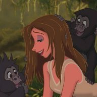 GorillasInTheIrishMist