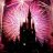 Disney Dreamer