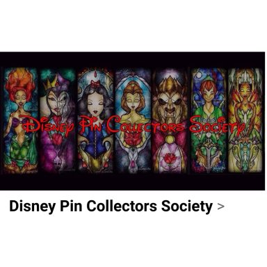 Disney Pin Collectors Society PTE, Orlando Area