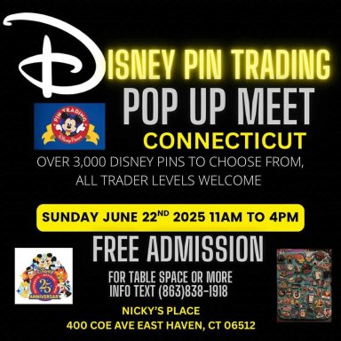 Disney Pin Trading Pop Up Meet, Connecticut, June 22, 2025