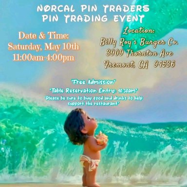 Norcal Pin Traders Pin Trading Event event image